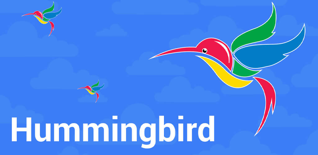 Hummingbird Algorithm